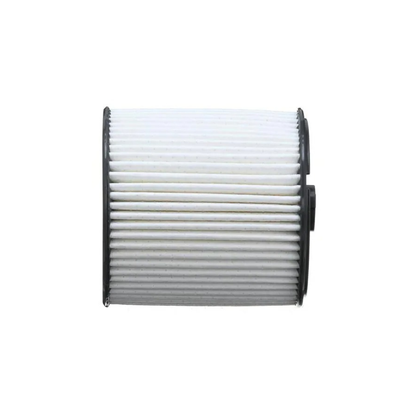 Mopar Fuel/Water Separator Filter Kit 68436631AA | Fits Ram 1500–3500 & Jeep 3.0L Diesel (2019–2024) - Tru North Parts